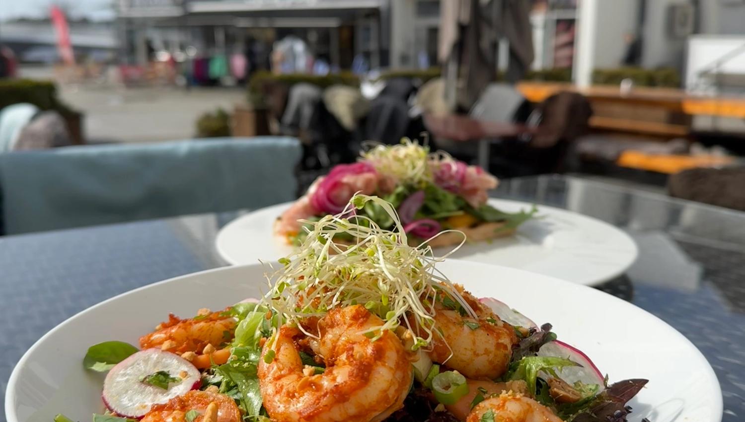 Food photo: scampi salad — green salad with spring onions, radish, bean sprouts, and scampi.