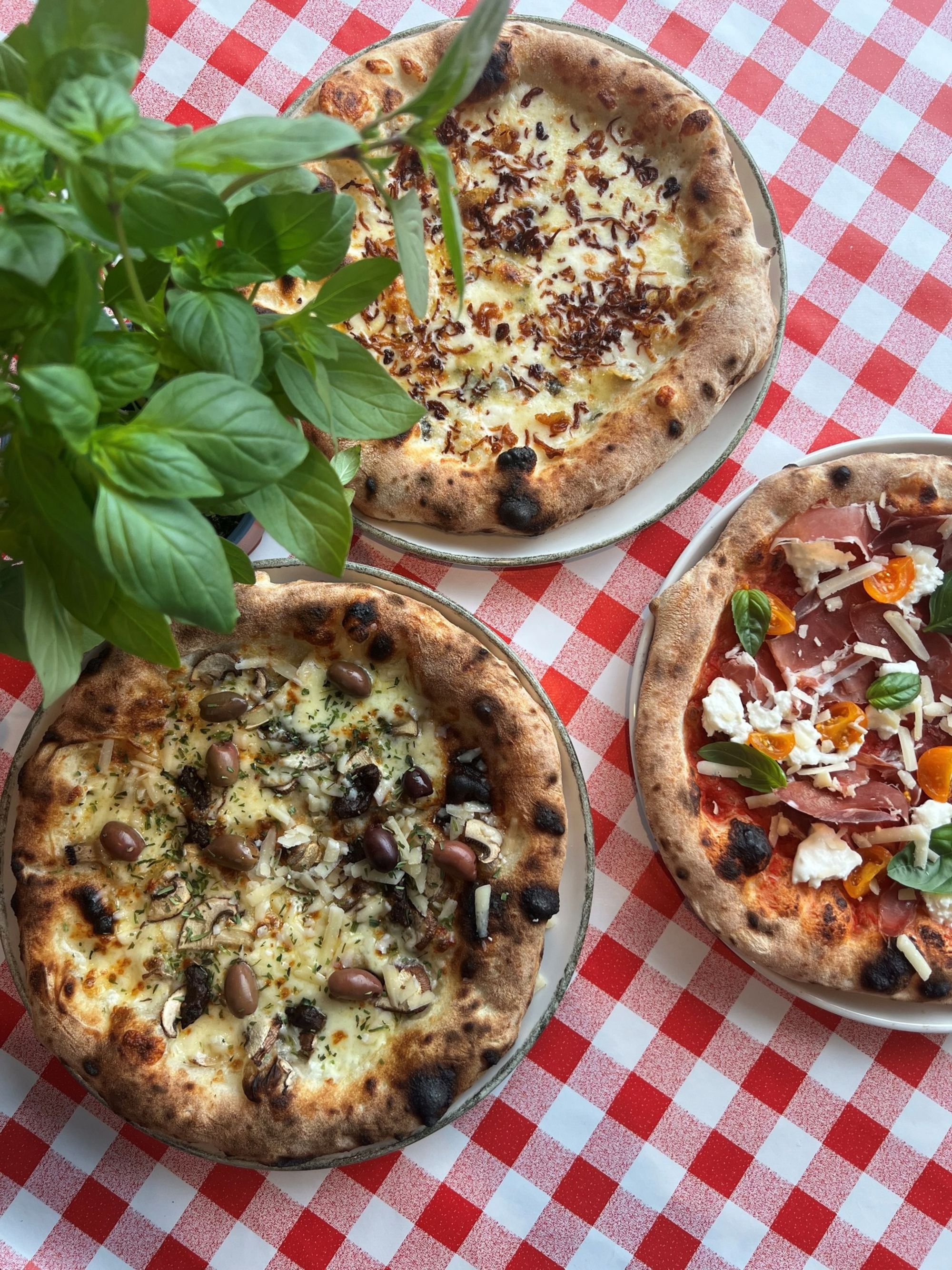 Pizza in the beach bar