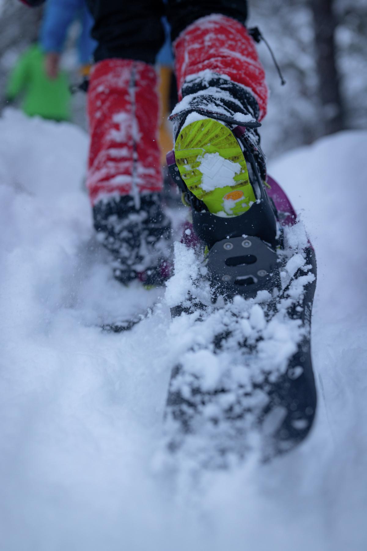 Snowshoeing