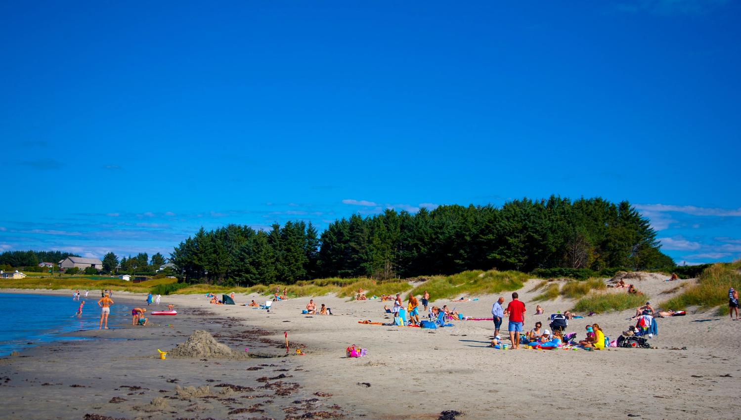 A summer's day at the beach, Sandestranden