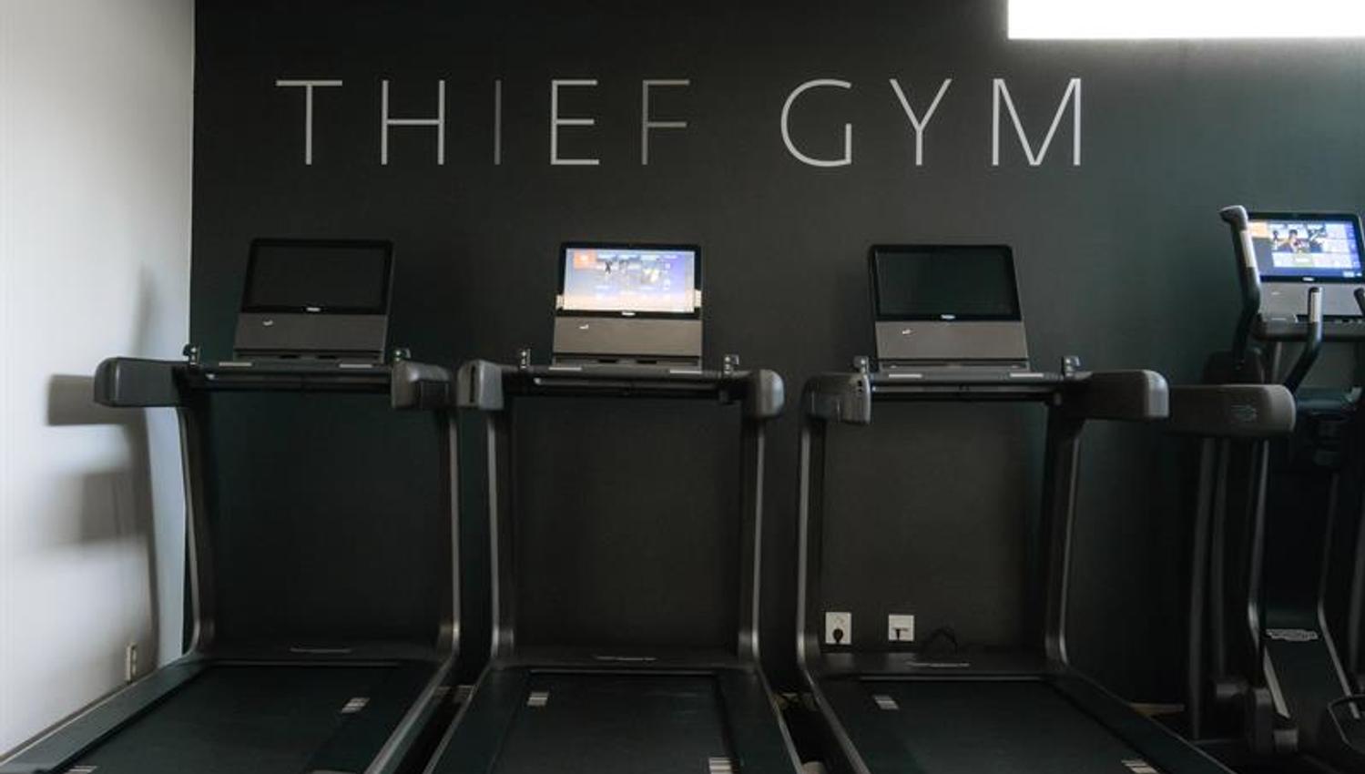 the thief gym