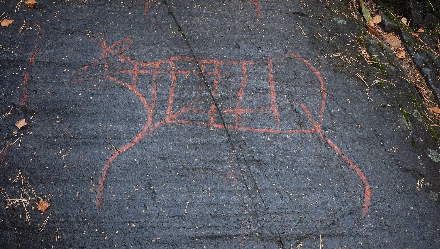 Photo of petroglyphs on a rock.