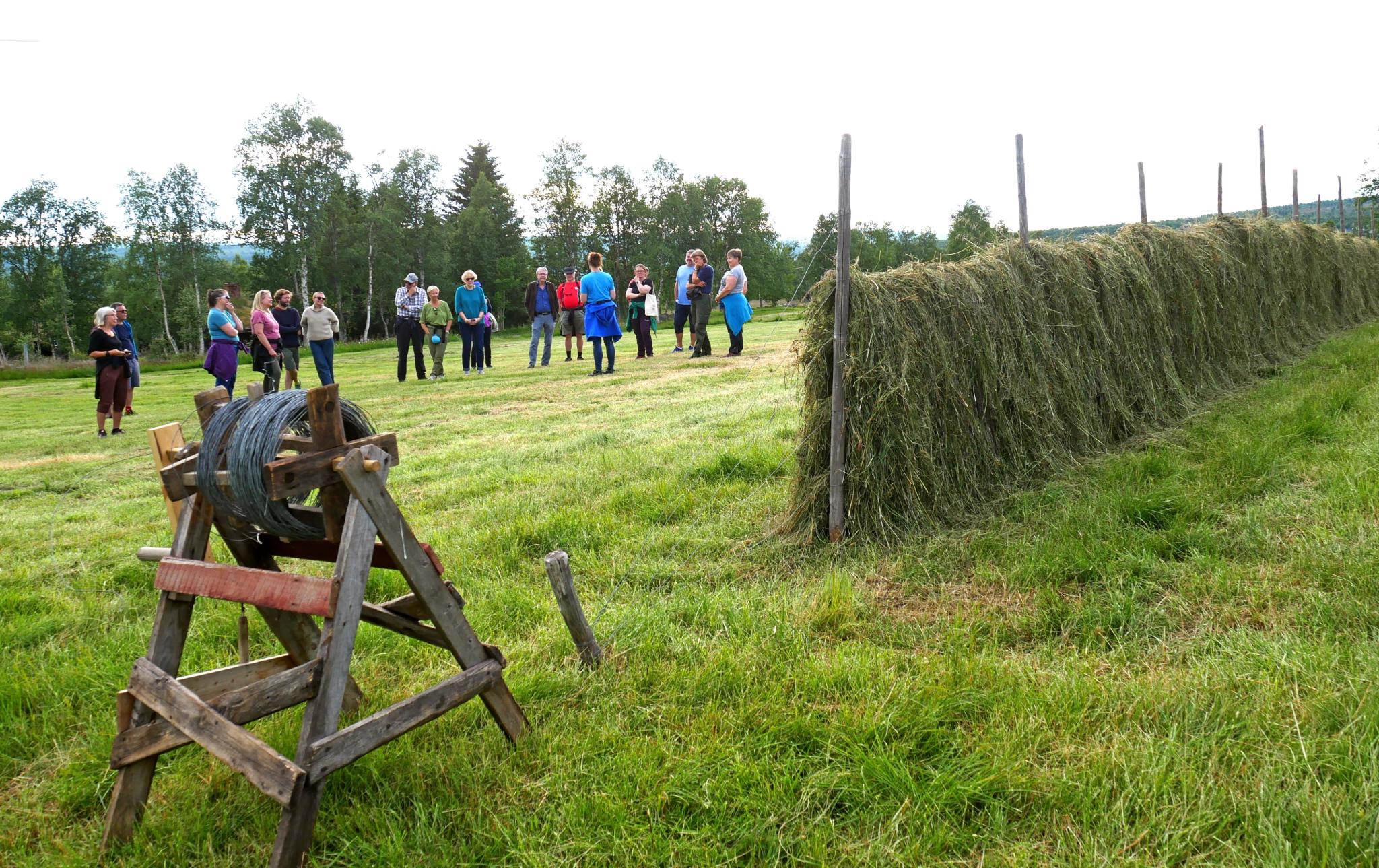 Sommervandring