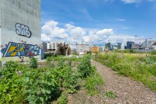 Top things to do in Oslo with kids
