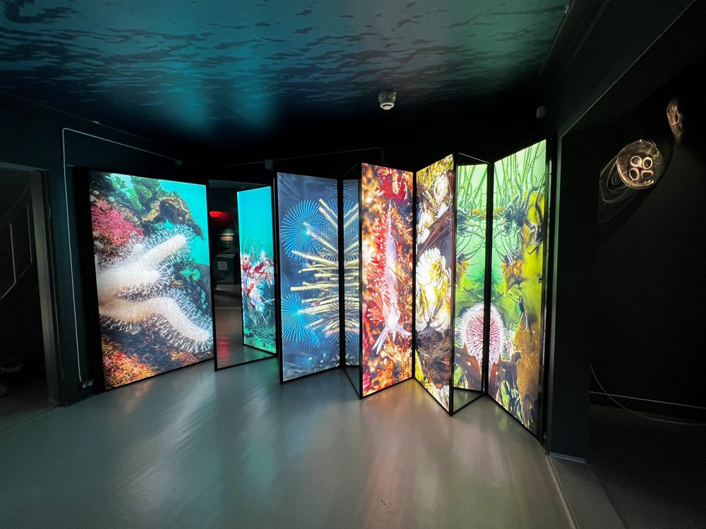 interactive exhibition at the visitor centre