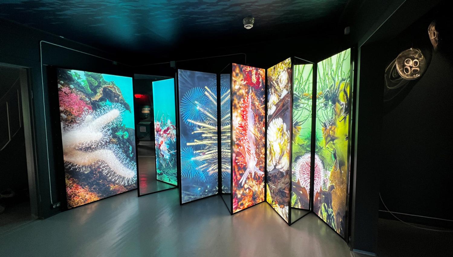 interactive exhibition at the visitor centre