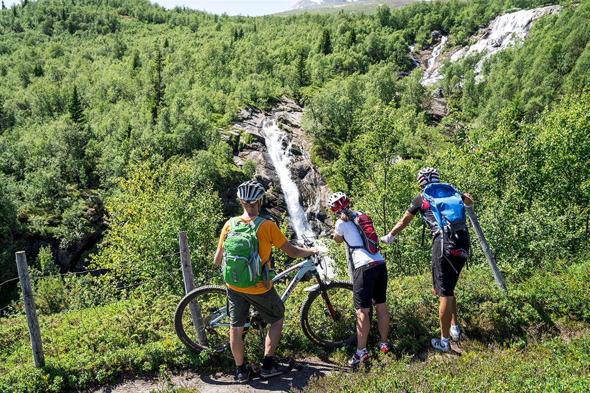 Cyclists look at a waterfall in a hillside overgrown by green montane birch forest