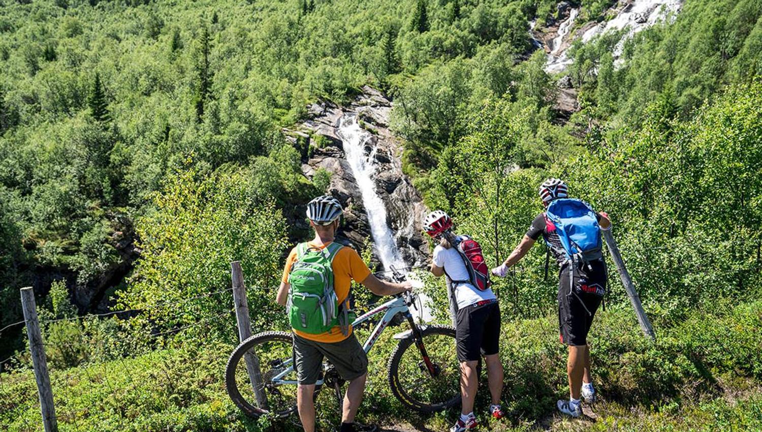 Cyclists look at a waterfall in a hillside overgrown by green montane birch forest