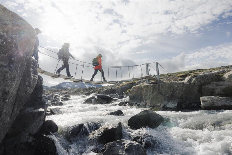 on the way to the glacier through the bridge 