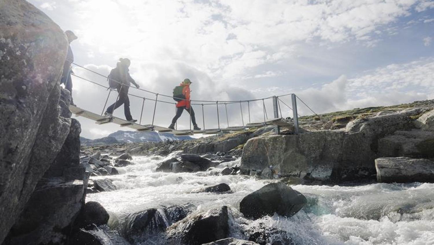 on the way to the glacier through the bridge
