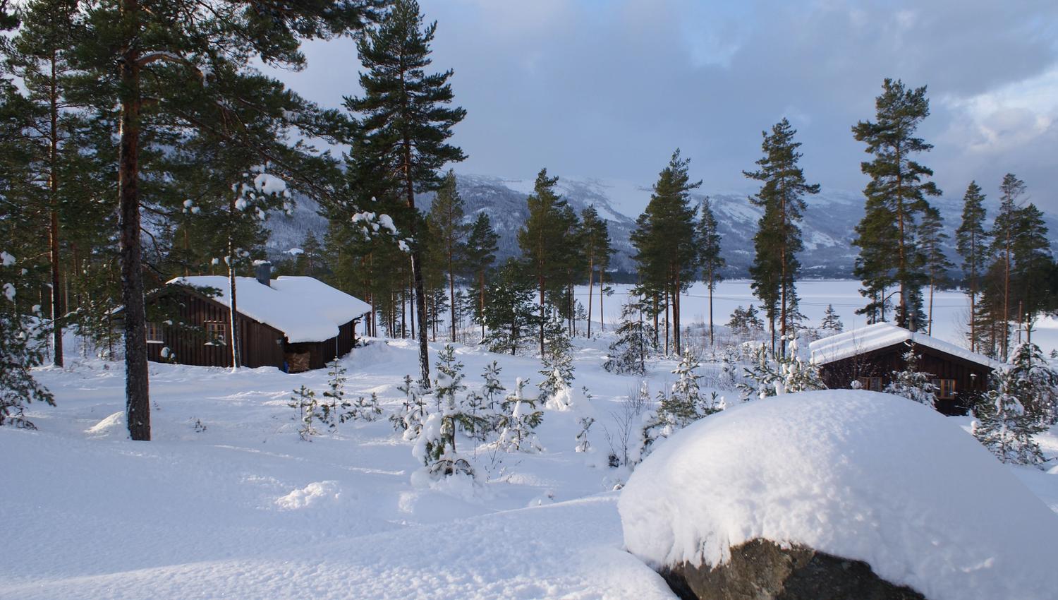 Fiskebekk, vinter
