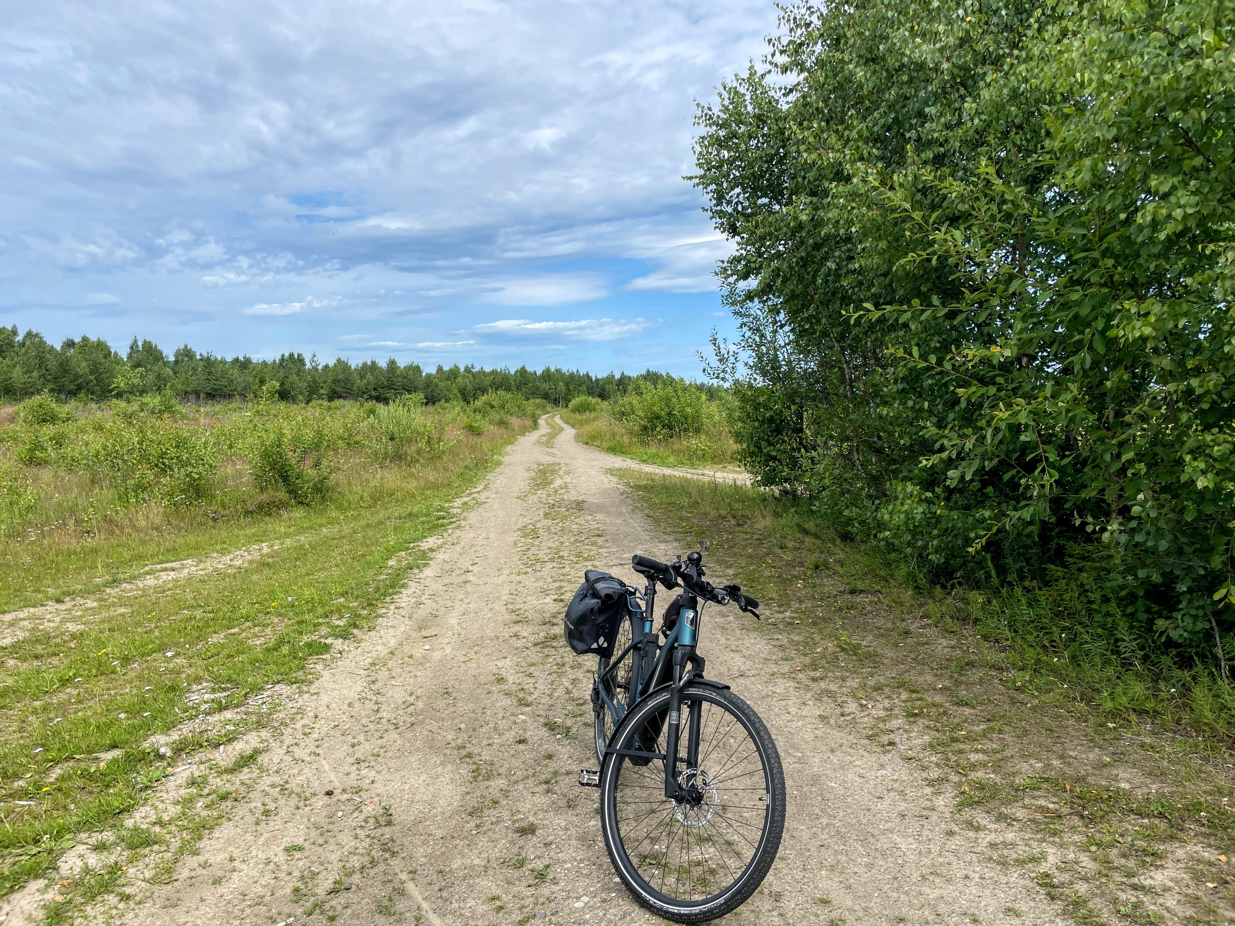 Turvei Trandumskogen