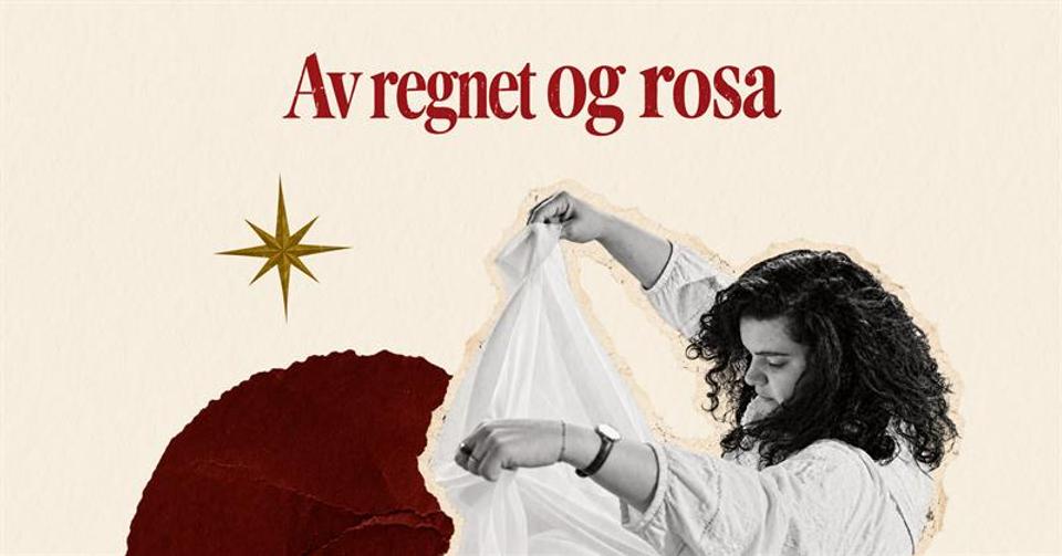 Av regnet og rosa