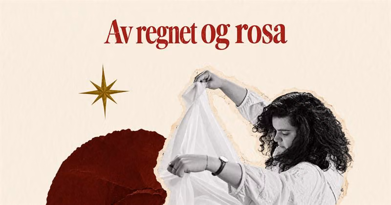 Av regnet og rosa