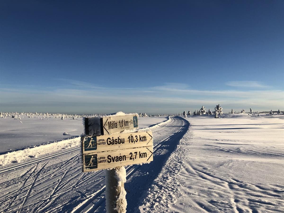 A winter mountain plateau under a clear blue sky, with ski trail signs in the foreground and open snowfields in the background.