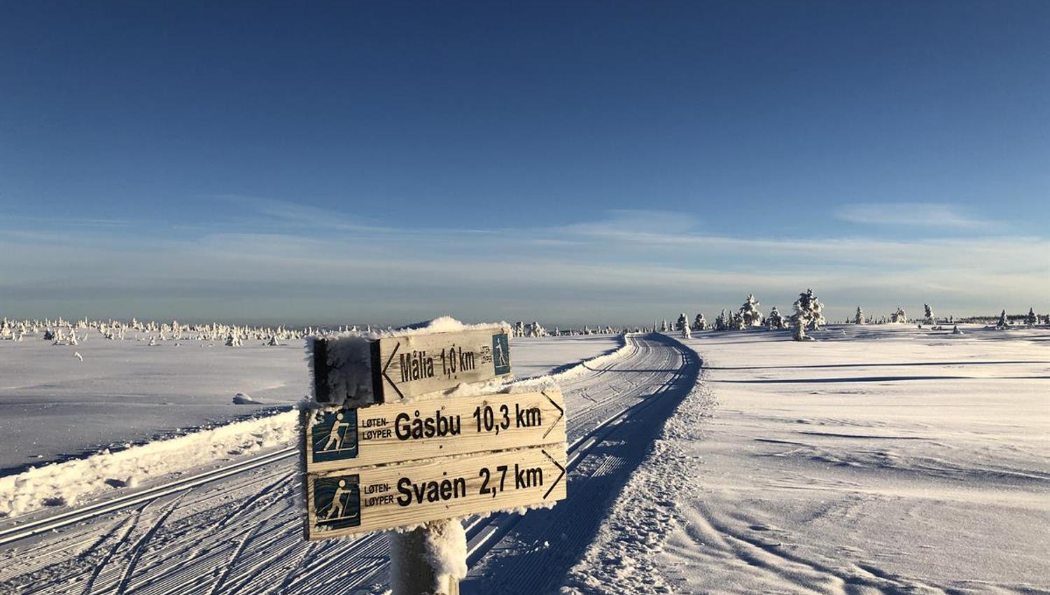 A winter mountain plateau under a clear blue sky, with ski trail signs in the foreground and open snowfields in the background.