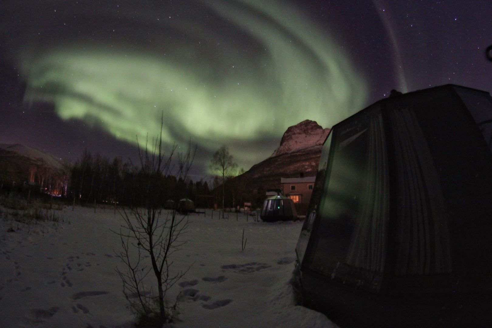 Northern lights above the glass iglos at North Experience