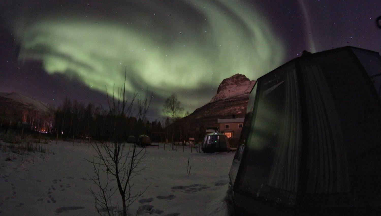 Northern lights above the glass iglos at North Experience