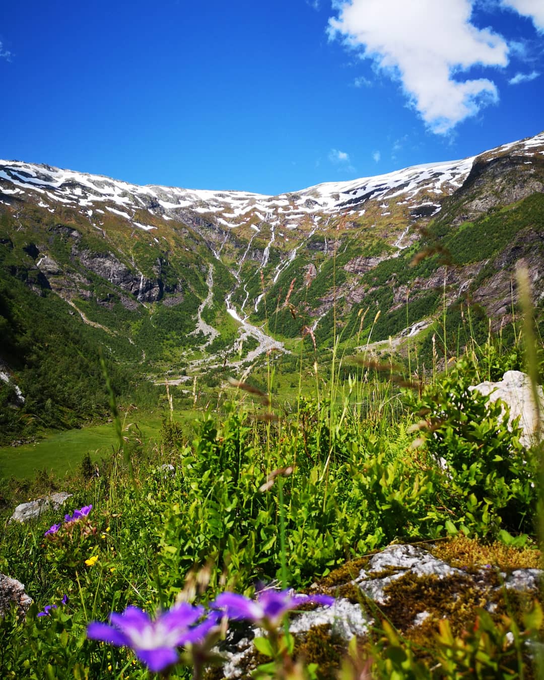 Fjærland