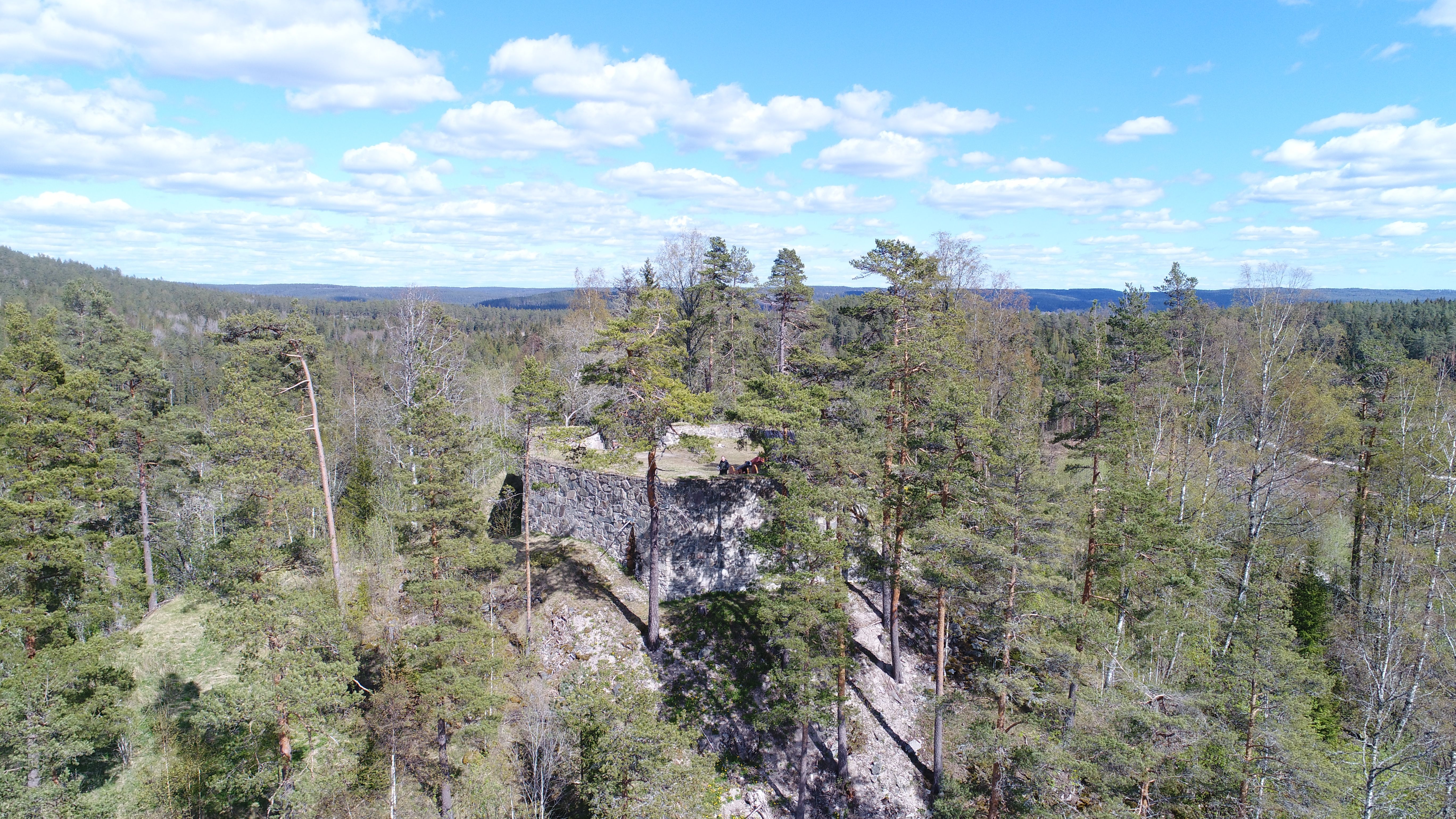 bunker hidden in trees