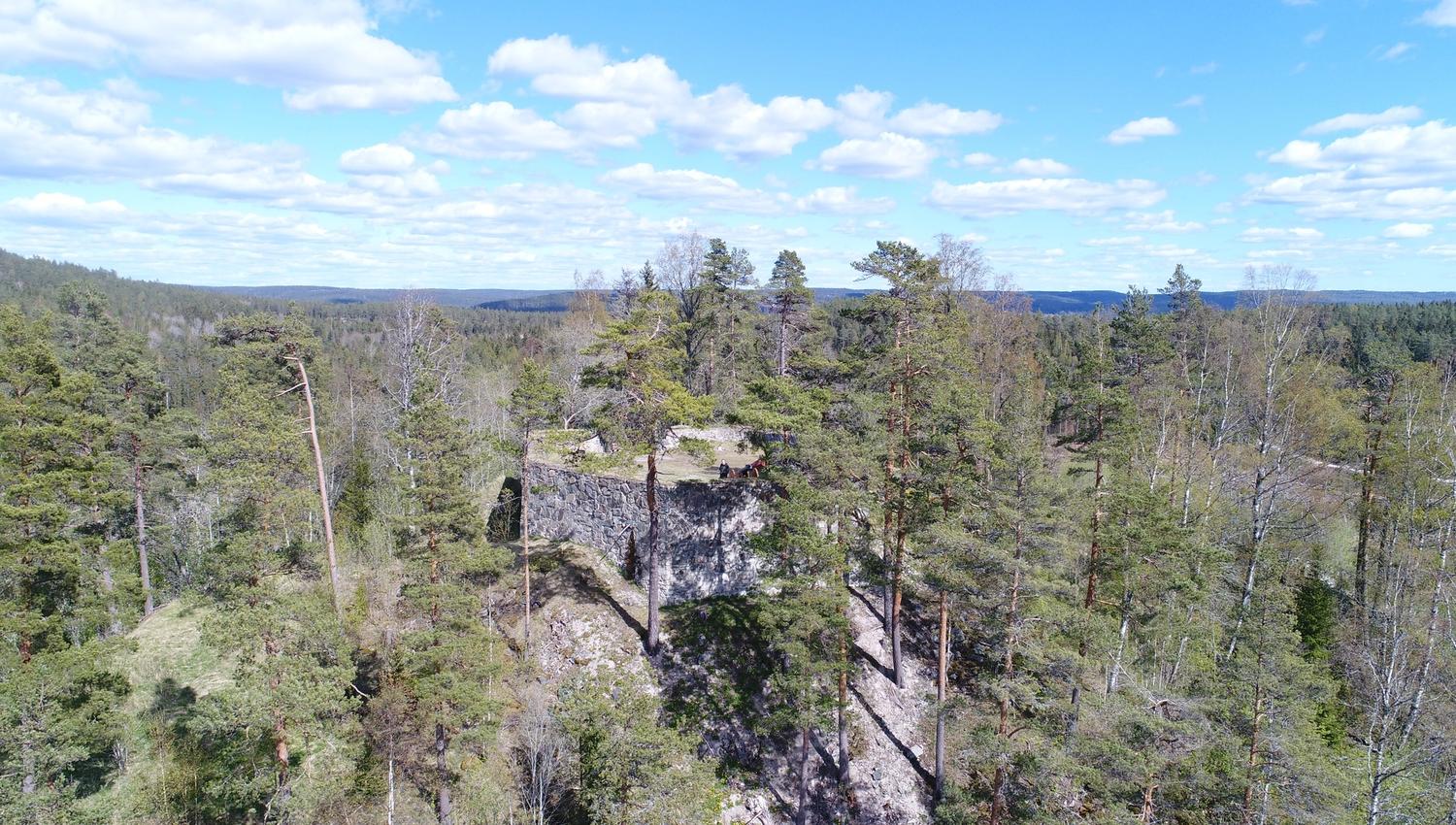 bunker hidden in trees
