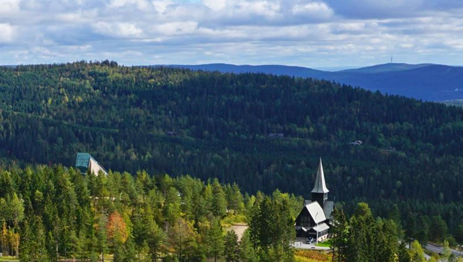 Aerial shot of the church, surrounded by trees.