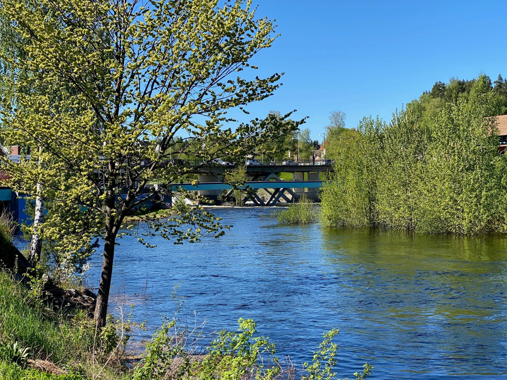 Storelva går stri nedenfor fossen i Hønefoss