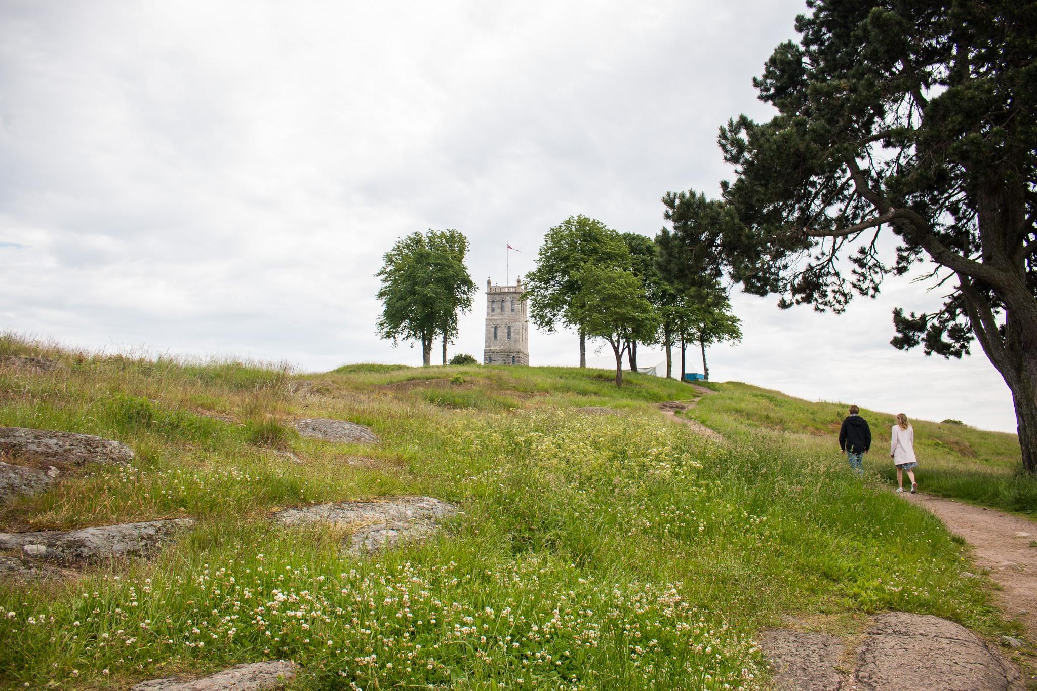 Slottsfjell tower on a green area