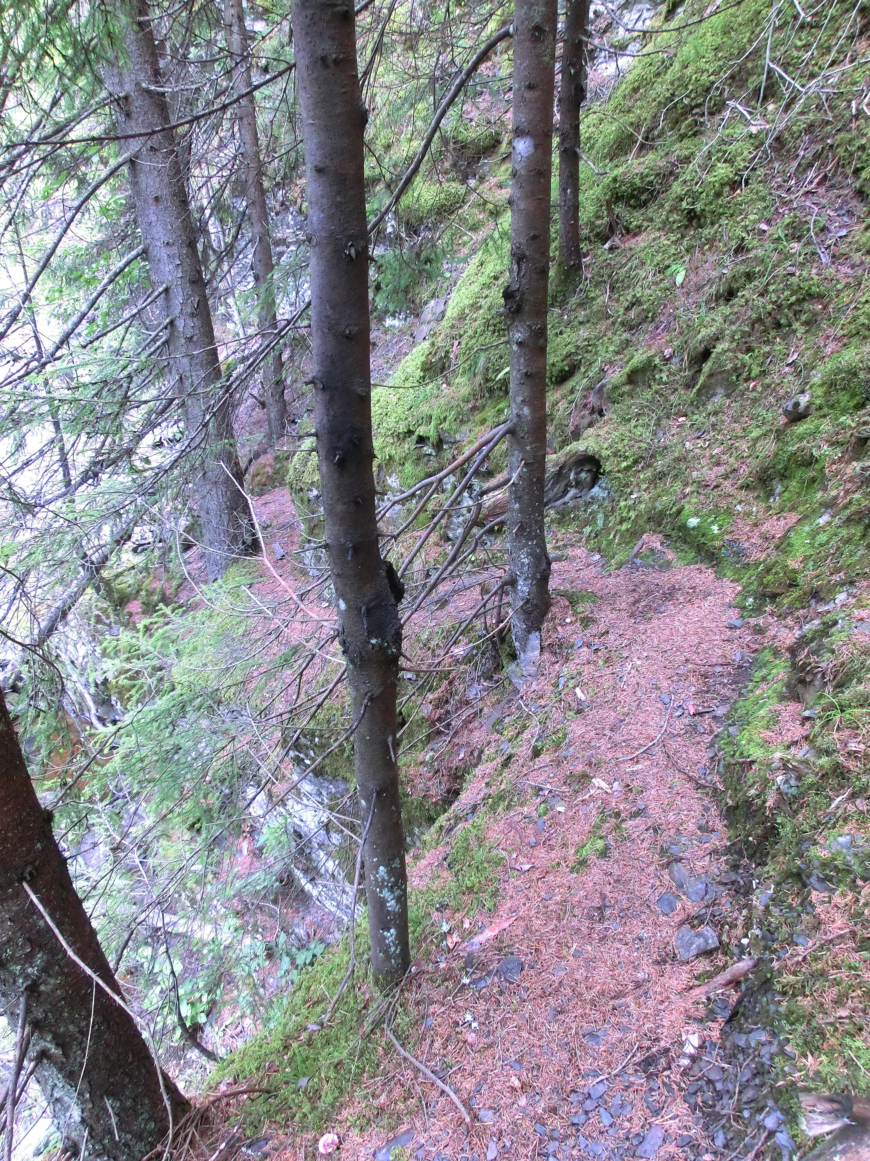 Sti til Bybruafossen / Path to Bybrua waterfall