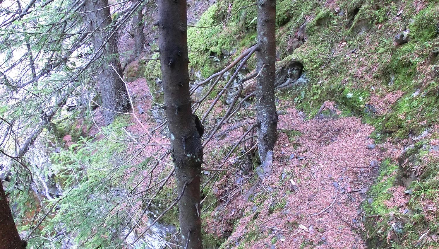 Sti til Bybruafossen / Path to Bybrua waterfall