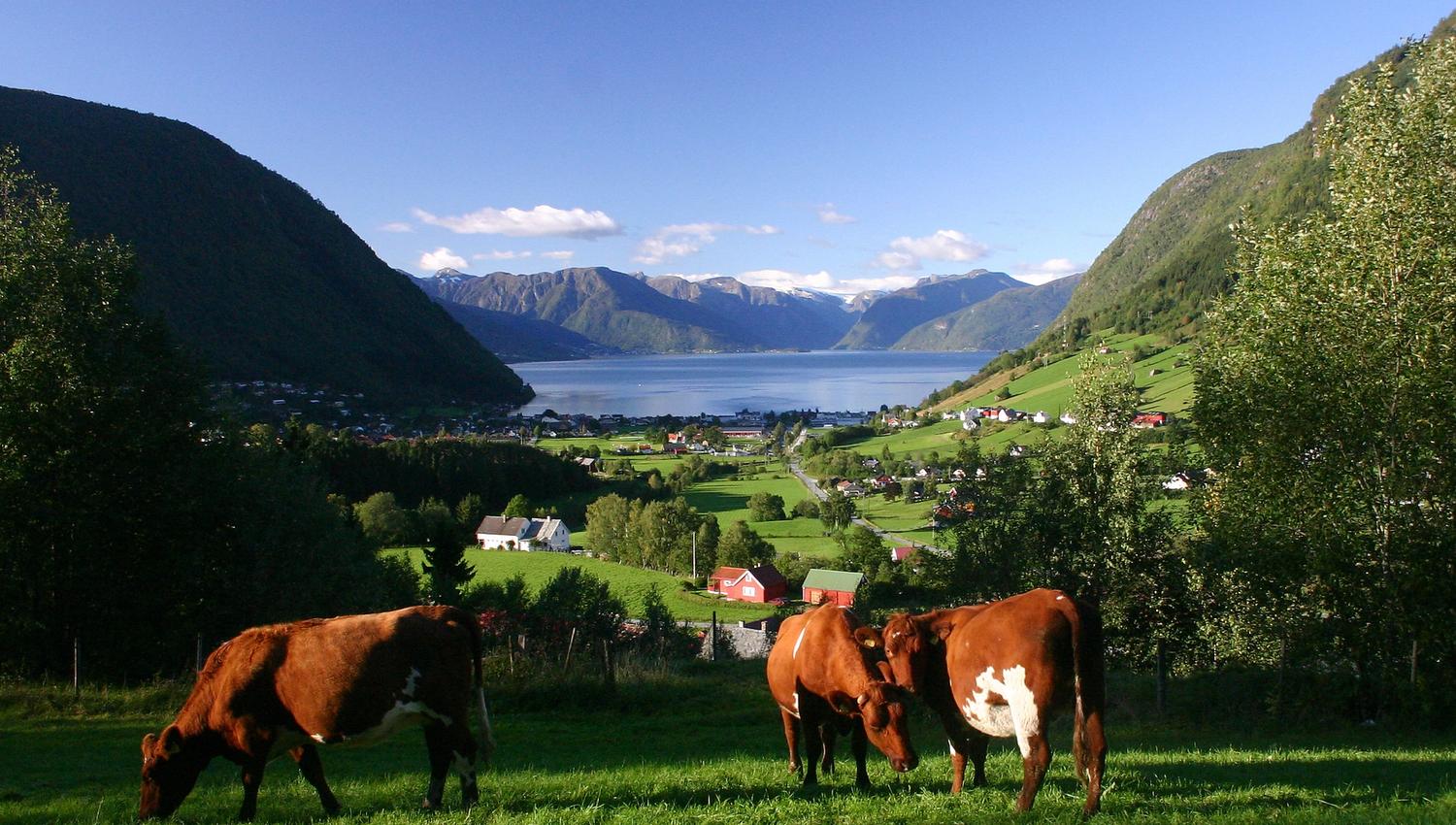 Hovsåsen, Vik