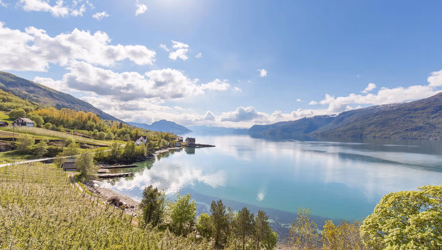 Blossoming in Hardanger, a warm and sunny summer day.