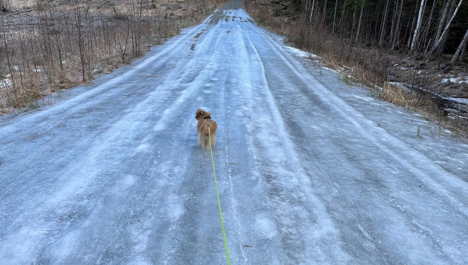 deler av veien opp til Kjølen fra Marker går på brede grusveier, eller isveier på våren. Gå forsiktig