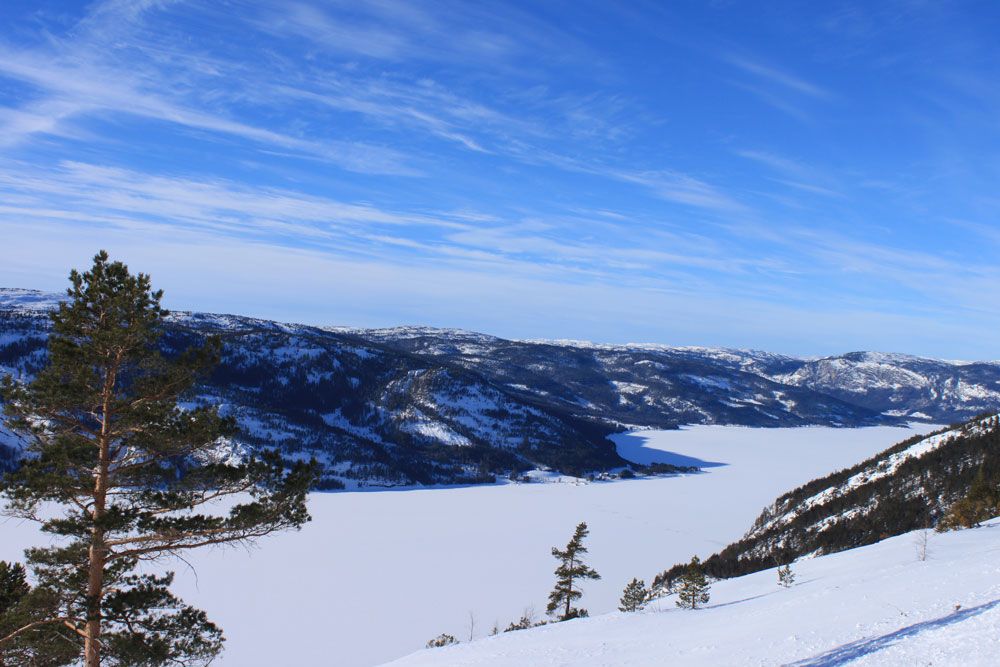 winter landscape in Fyresdal