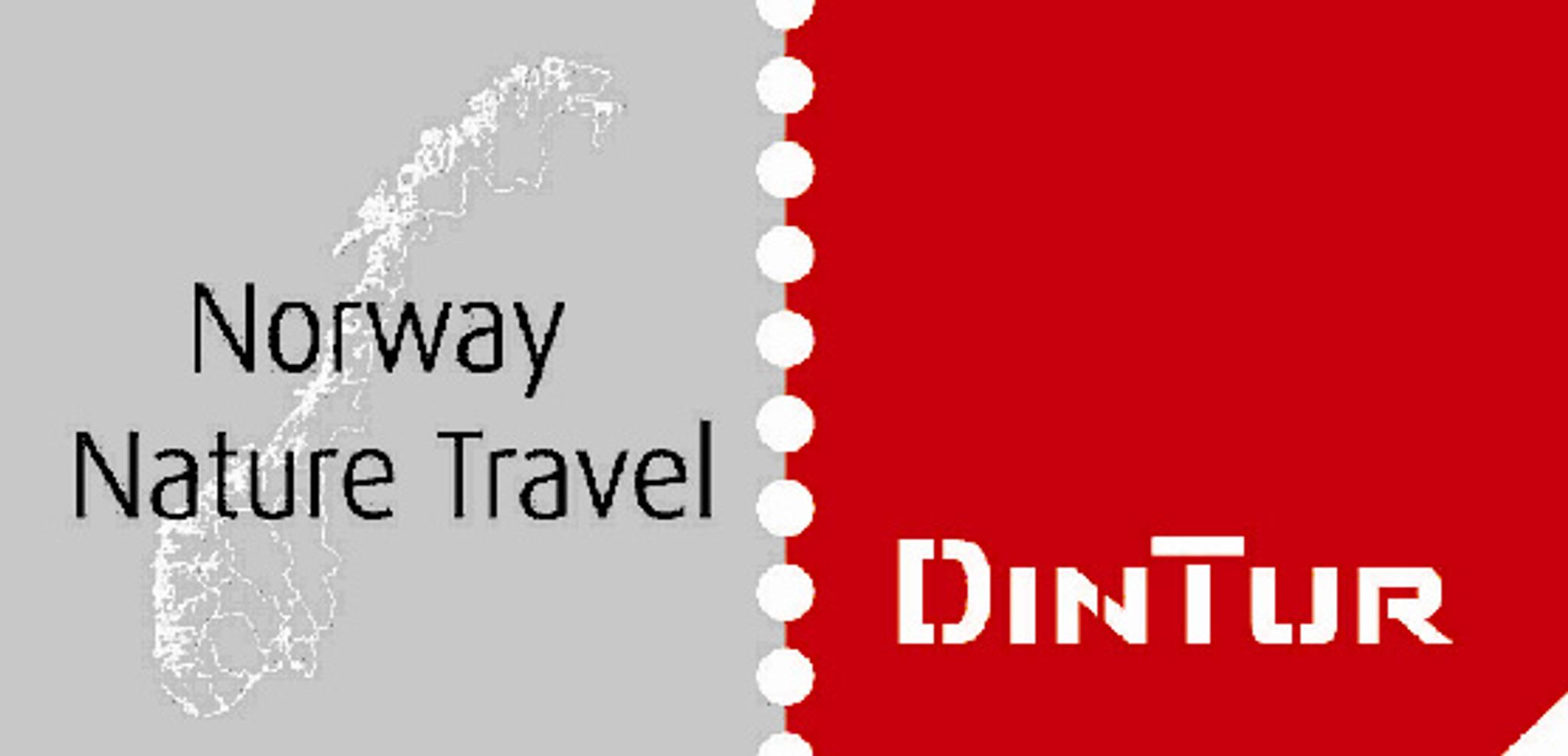Dintur logo
