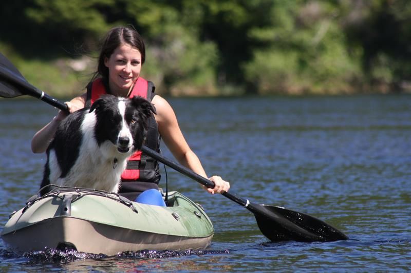 : A woman with a dog (border collie) in a green canoe paddling on the water