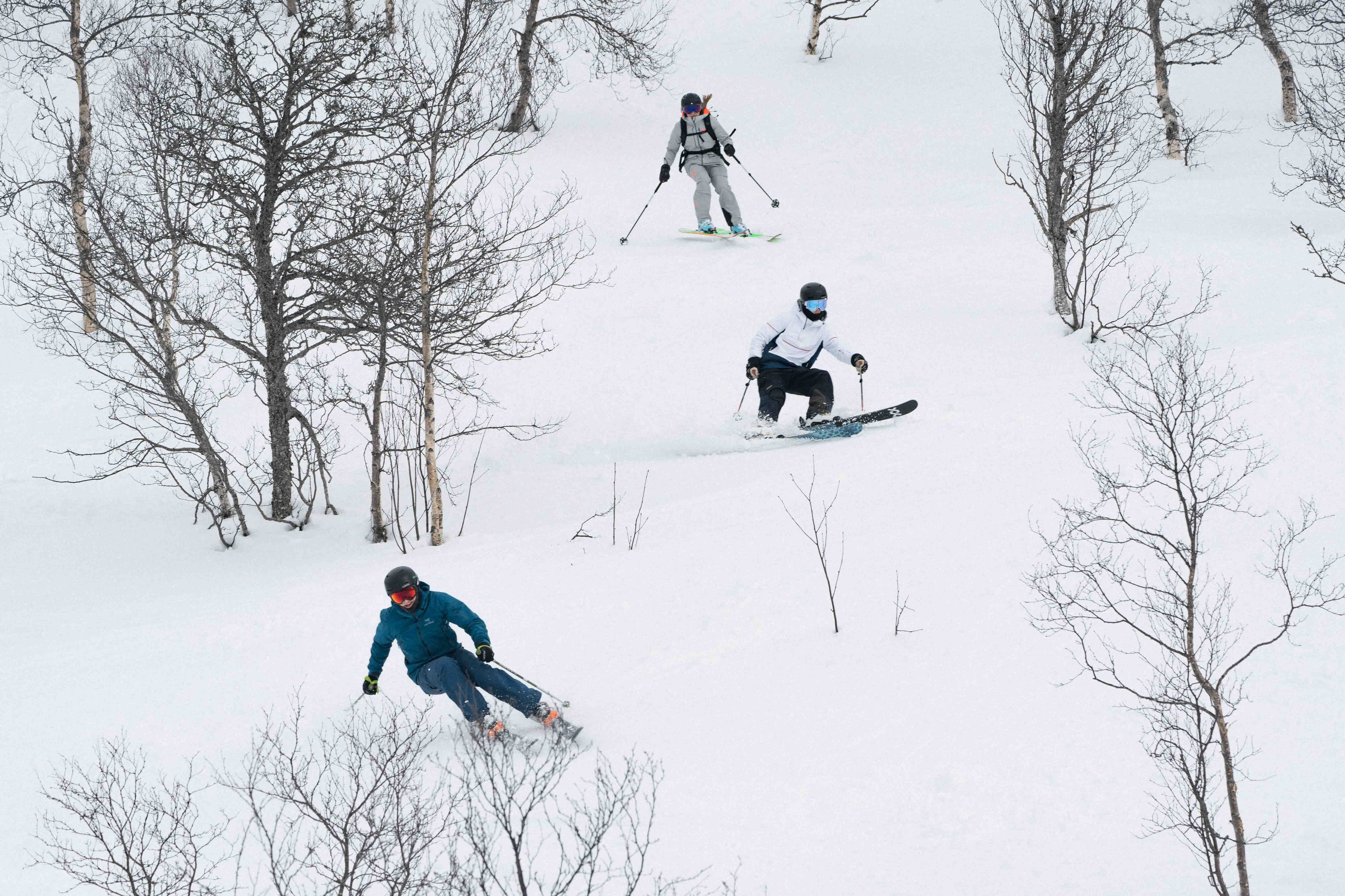 Three skiers skiing down a hill with multiple trees. 