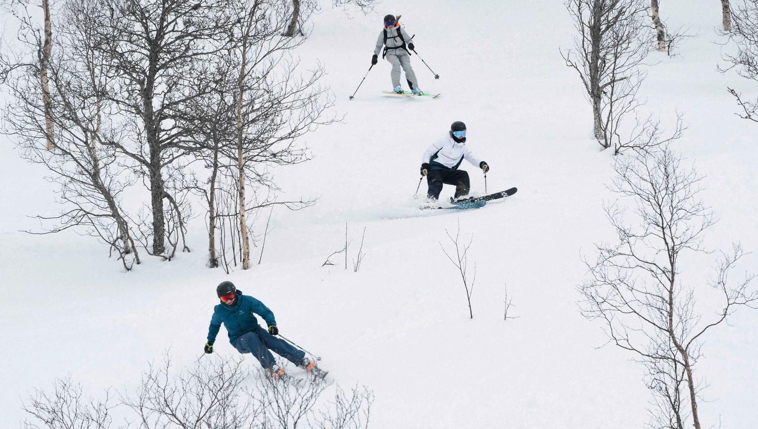 Three skiers skiing down a hill with multiple trees.
