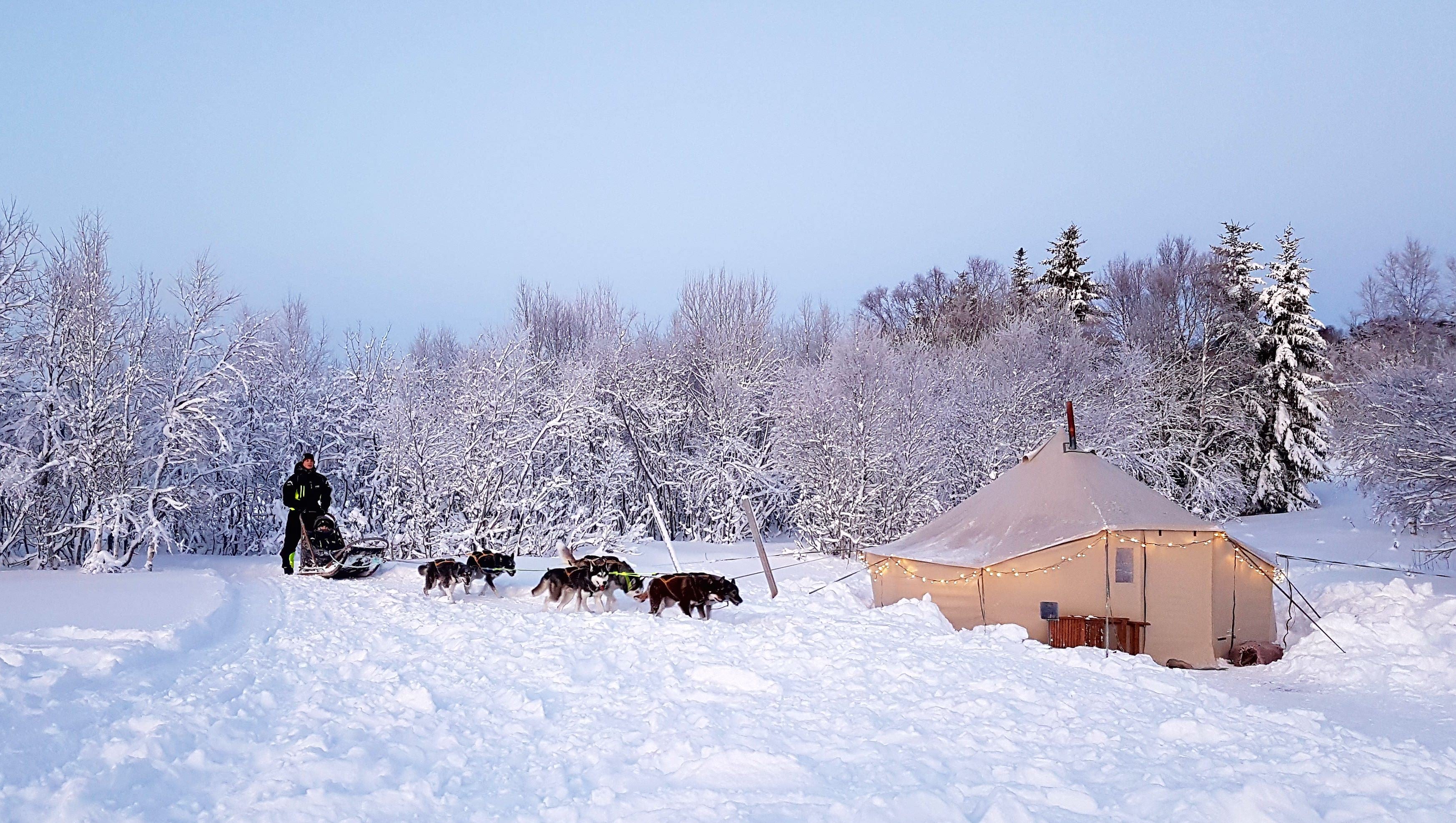 Dogsled and a tent in snowy landscape