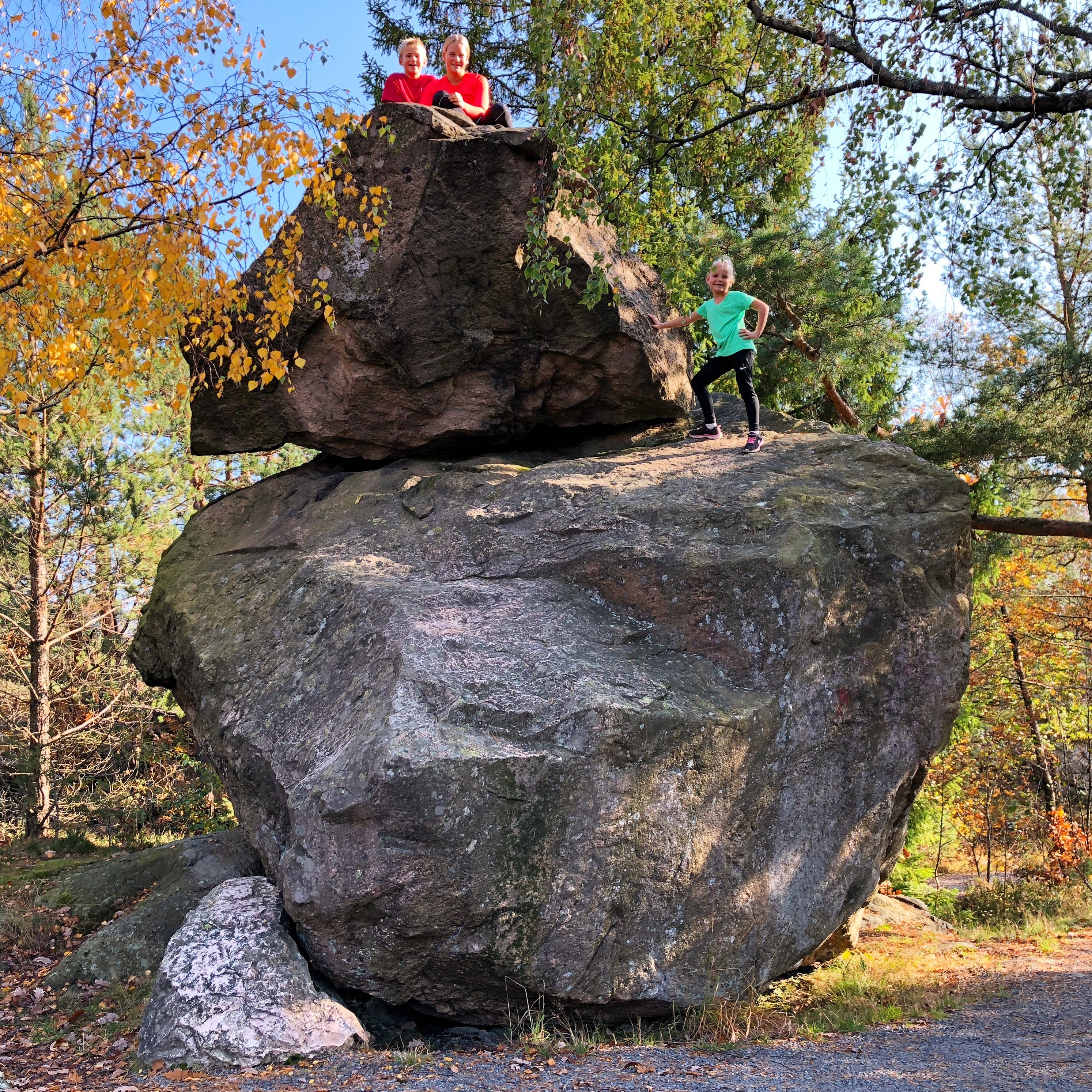 Høst i Baneheia