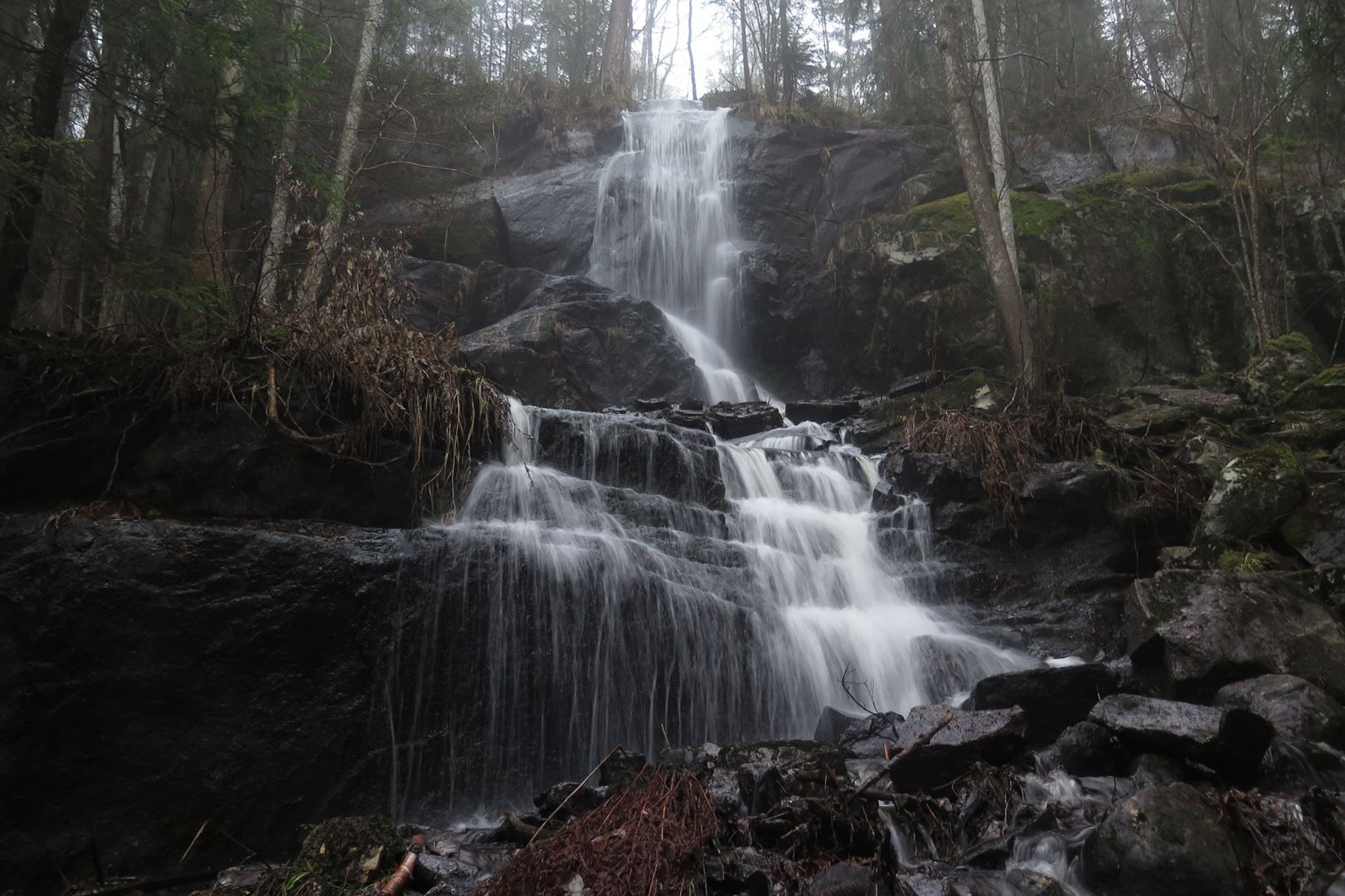 a small waterfall in the forest