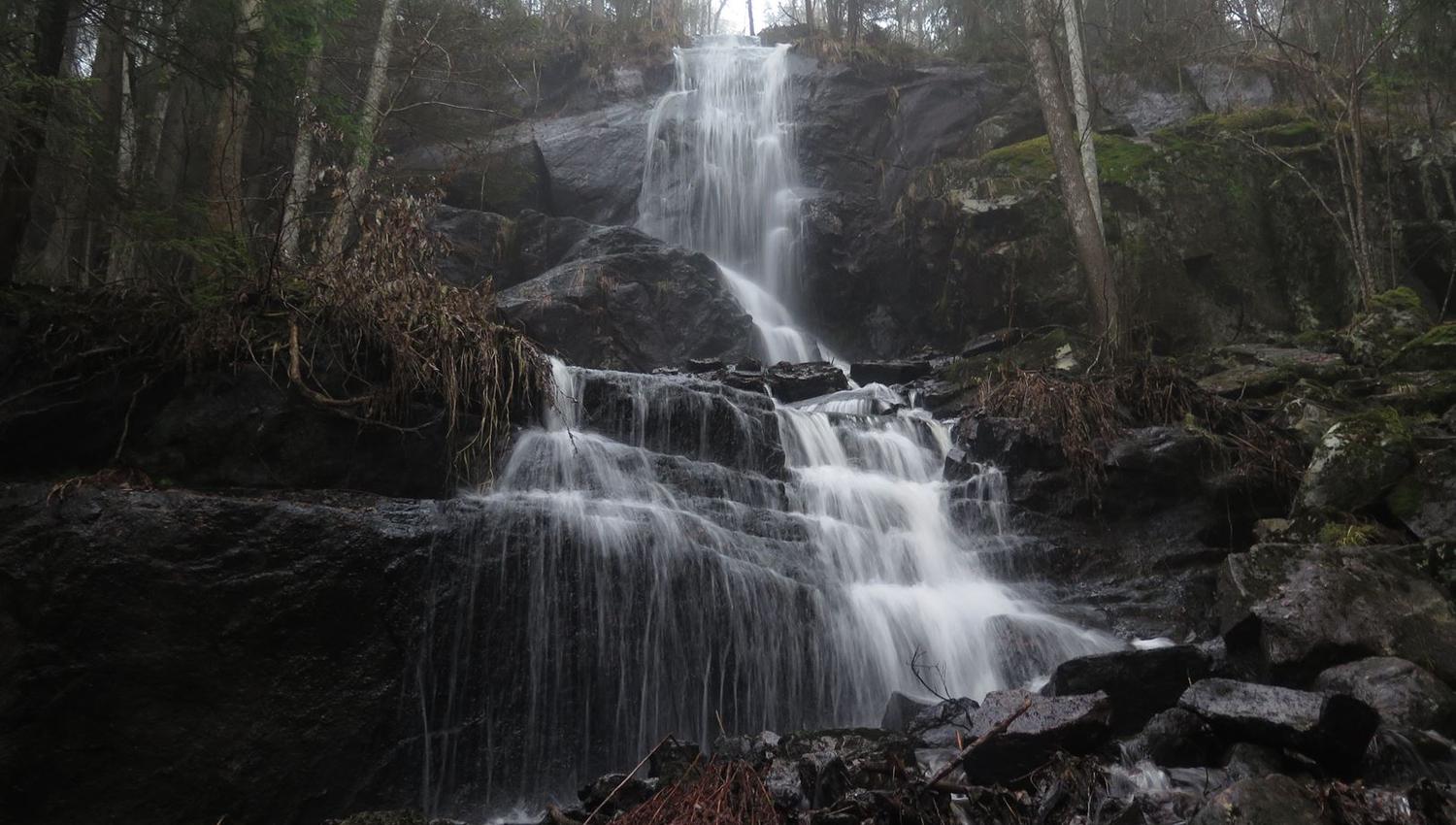 a small waterfall in the forest