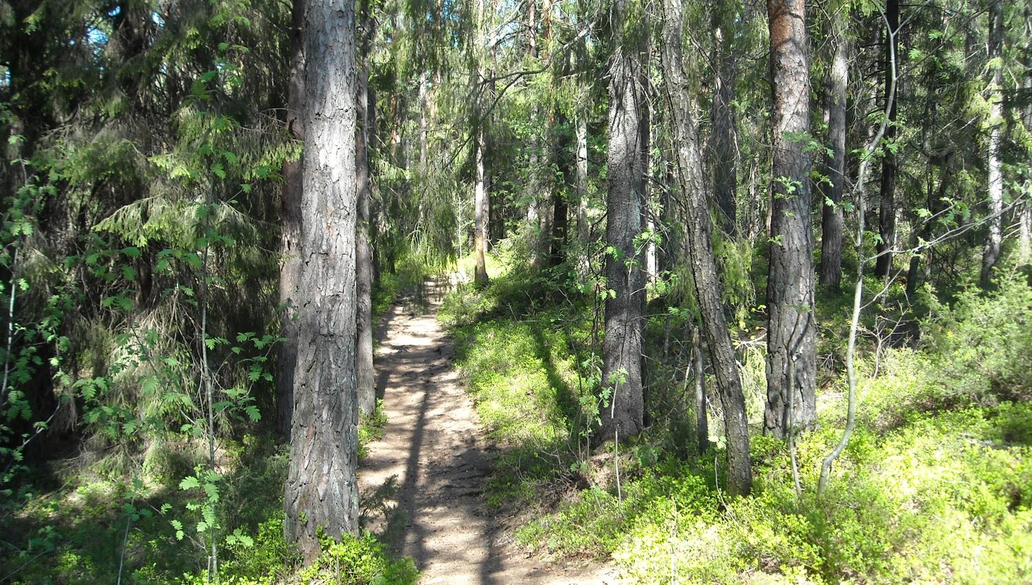 Hiking at Fjæreheia