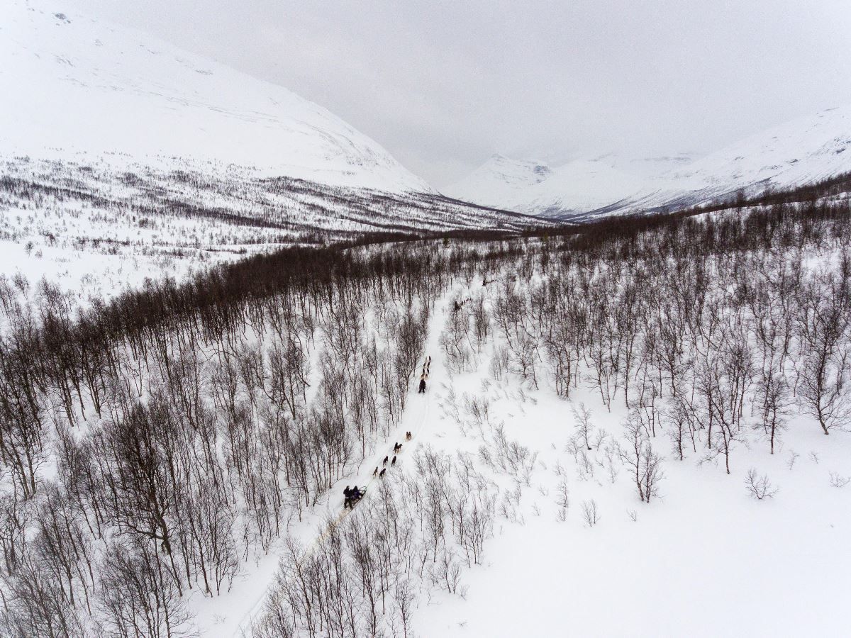 Dog sled route near Camp Tamok