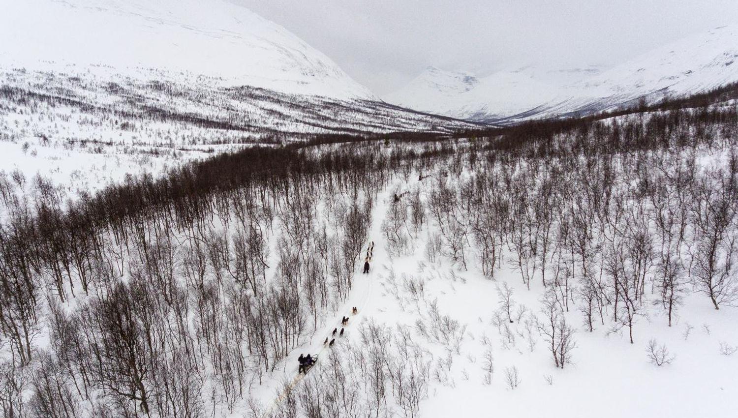 Dog sled route near Camp Tamok