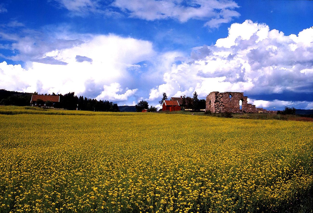 The ruins surrounded by a large meadow.