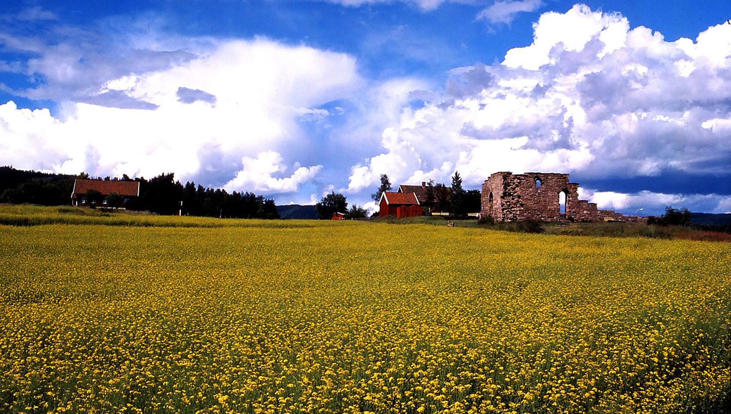 The ruins surrounded by a large meadow.