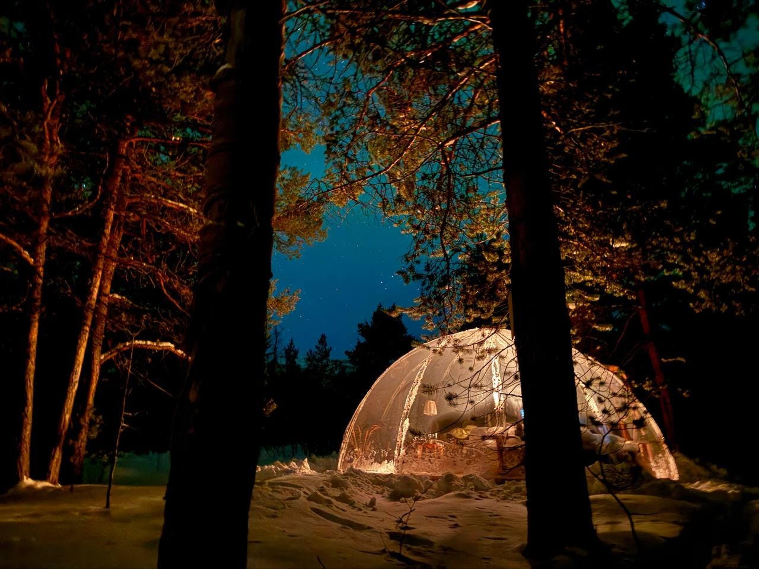 A glowing igloo-style shelter in a snowy forest at night under a starry sky.