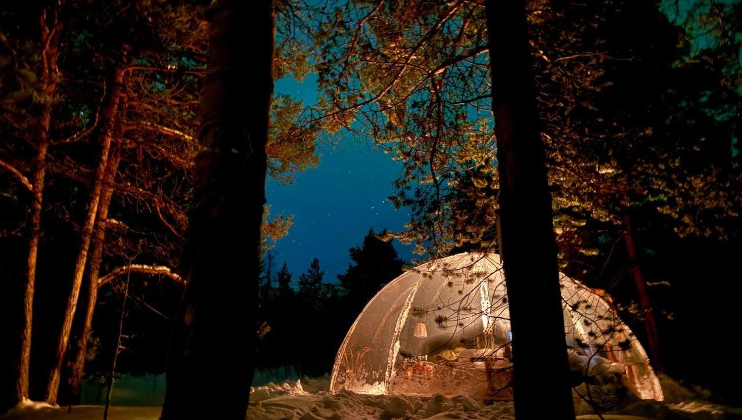 A glowing igloo-style shelter in a snowy forest at night under a starry sky.