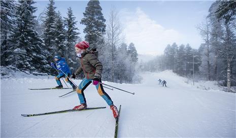 Oppdal Skistadion